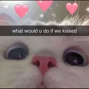 Meet your Posher, Aoun